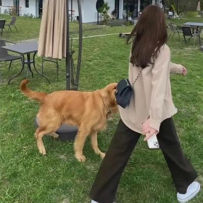 小马虎